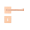 CE -6-